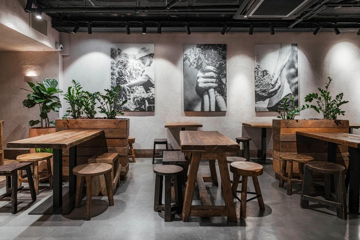 Honest Greens Tuset - Image 1